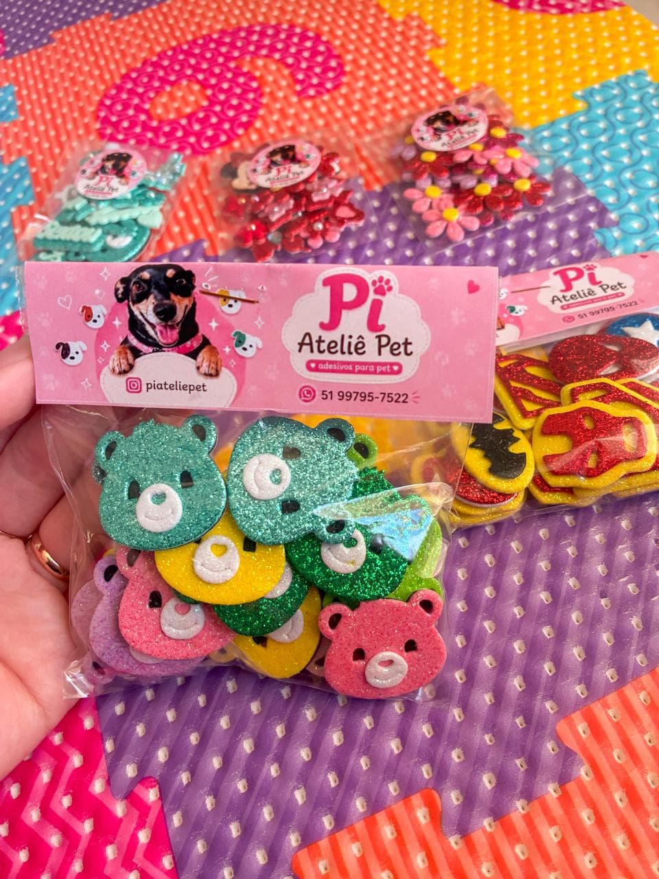 Conheça a Pi Ateliê Pet